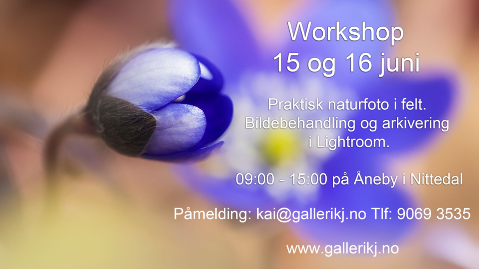 Workshop 15 og 16 juni